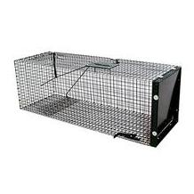 Moorland large humane animal trap