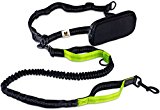 Hundefreund dog leash