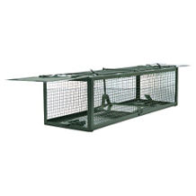 Pronghorn rat trap