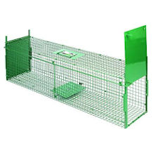 MaxxGarden animal trap