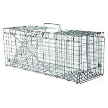 Praknu animal trap