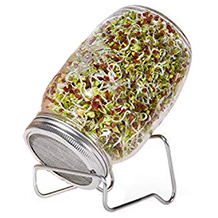 Navur sprouting jar