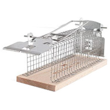 Novacatch mousetrap