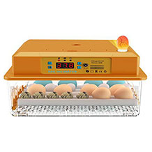 Egg incubator