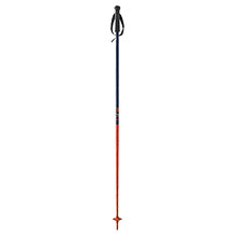 Fischer ski pole